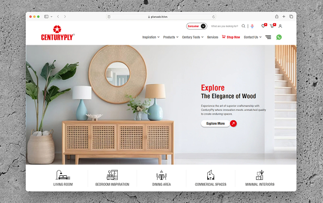 Century Ply